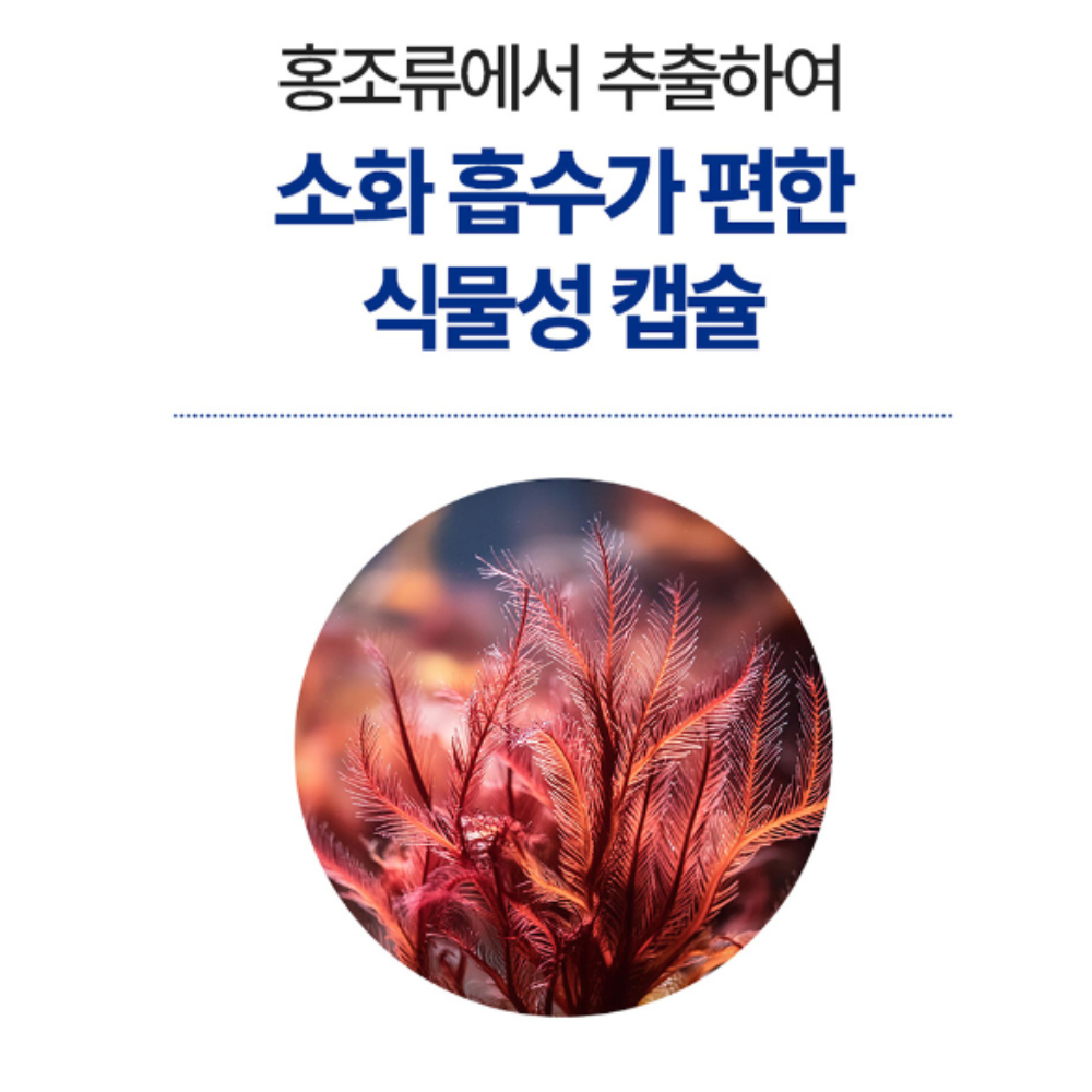 종근당 20100 루테인지아잔티 아스타잔티 플러스60캡슐 눈피로 눈 노화 : 건강한터틀스