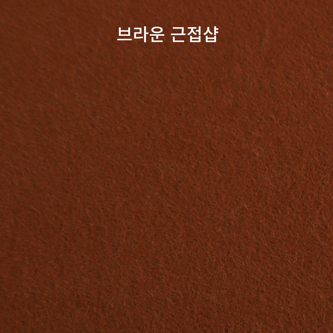 도마뱀바닥재 크레사육장 크레스티드게코 사육장 : 도룡이