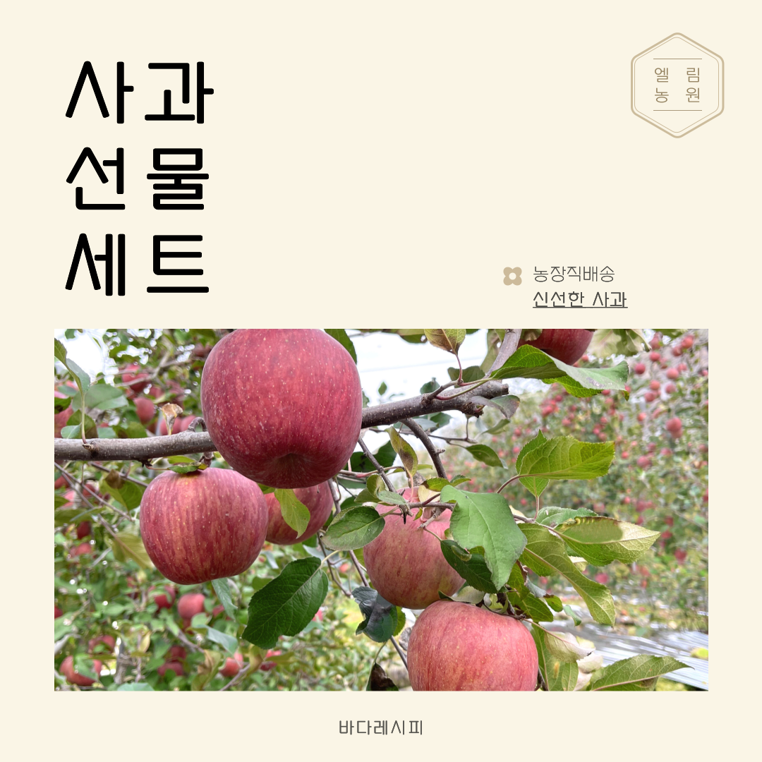 엘림농원 프리미엄 선물세트5kg : 주식회사 바다레시피