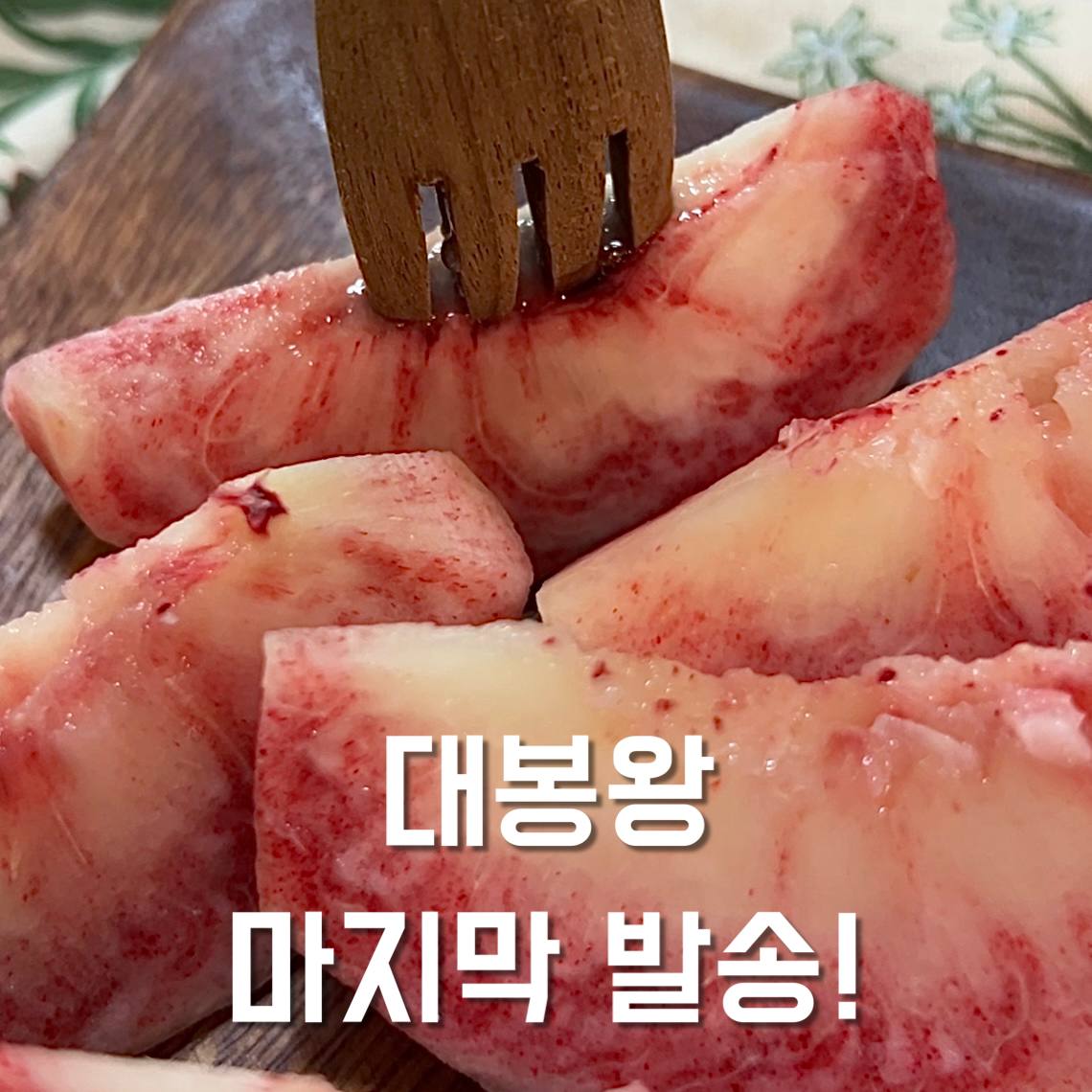 팜블리네 햇살어린복숭아 신비 백도 황도 천중도 미황 천도 마도카 엘바트 딱딱이 말랑이 복숭아 : 집앞애딸기