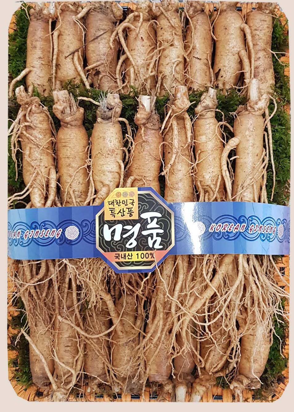 금산인삼 5년6년 원수삼선물세트 산지직송 : 금산일품인삼