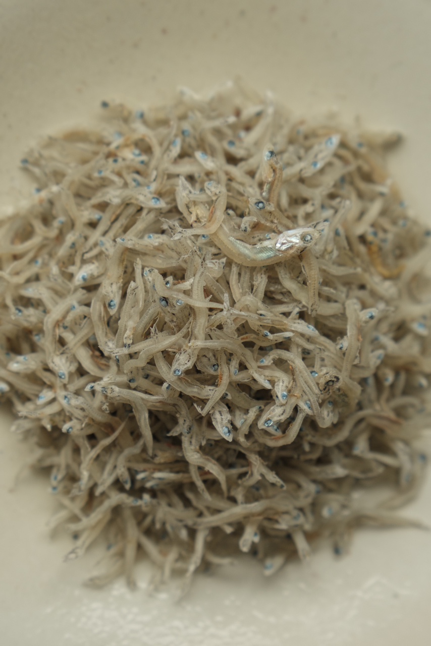 두식이네해물 완도 햇멸치 500g 지리멸치, 가이리멸 고바멸치 다시멸치 국멸 디포리 세멸 : 두식이네해물