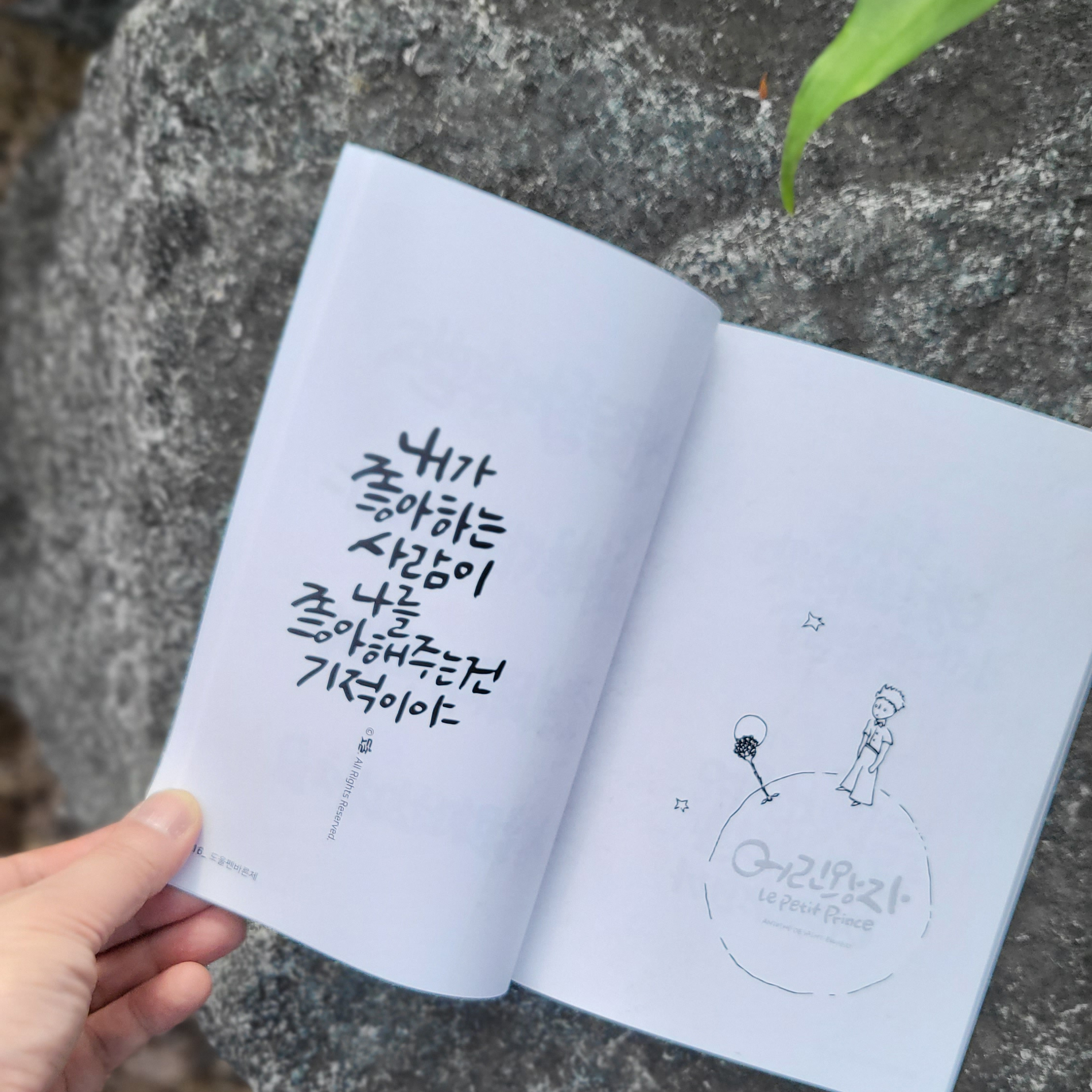 도울펜바른체 캘리그라피 체본집 : 디자인 상점