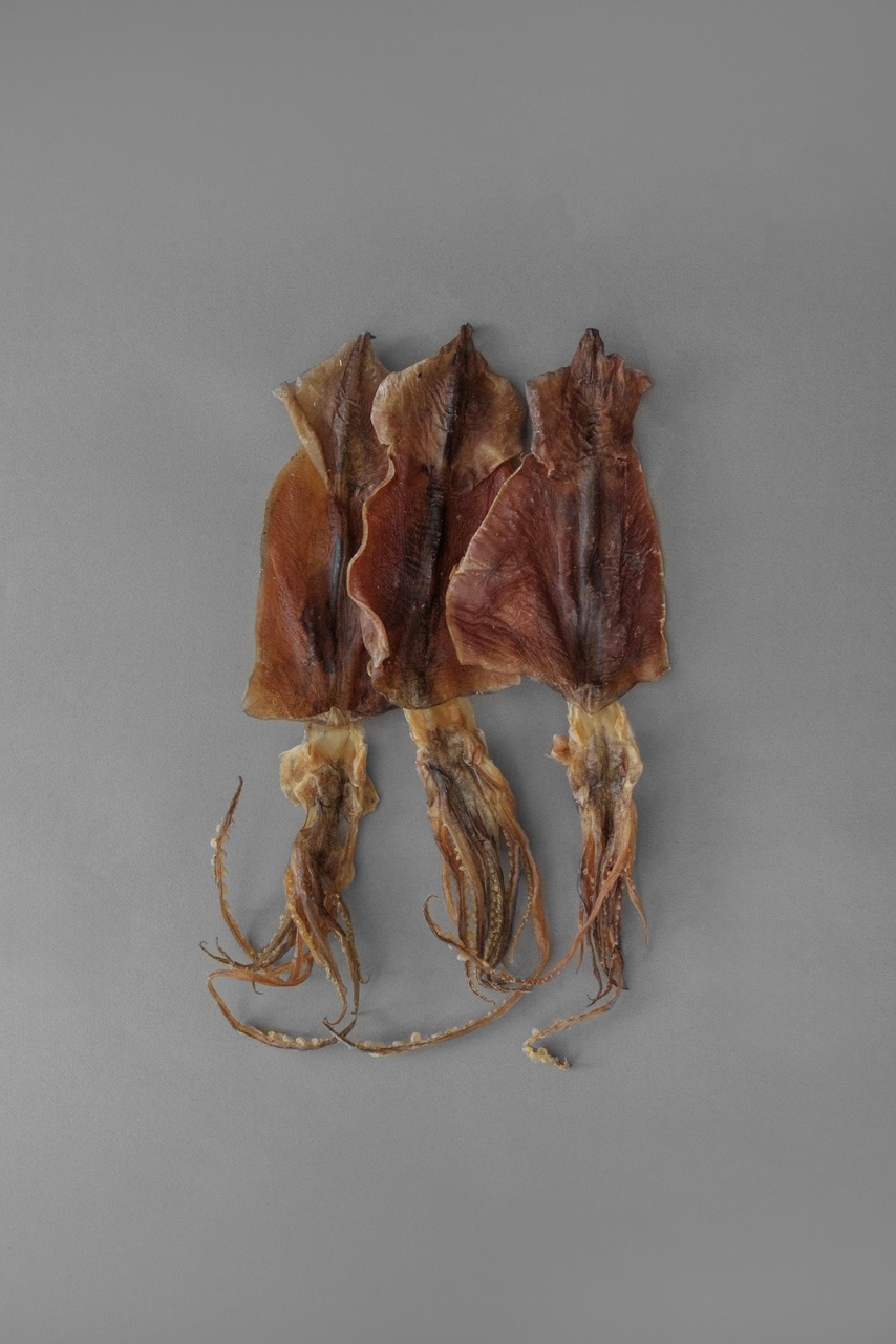 두식이네 완도 배오징어 마른오징어 건오징어 5마리 : 두식이네해물