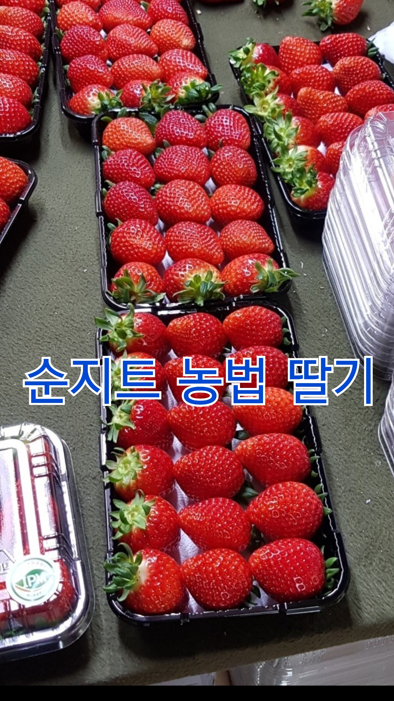 농업용(딸기농장 관수용)순지트 분말 30mesh 1000kg : 주원shop
