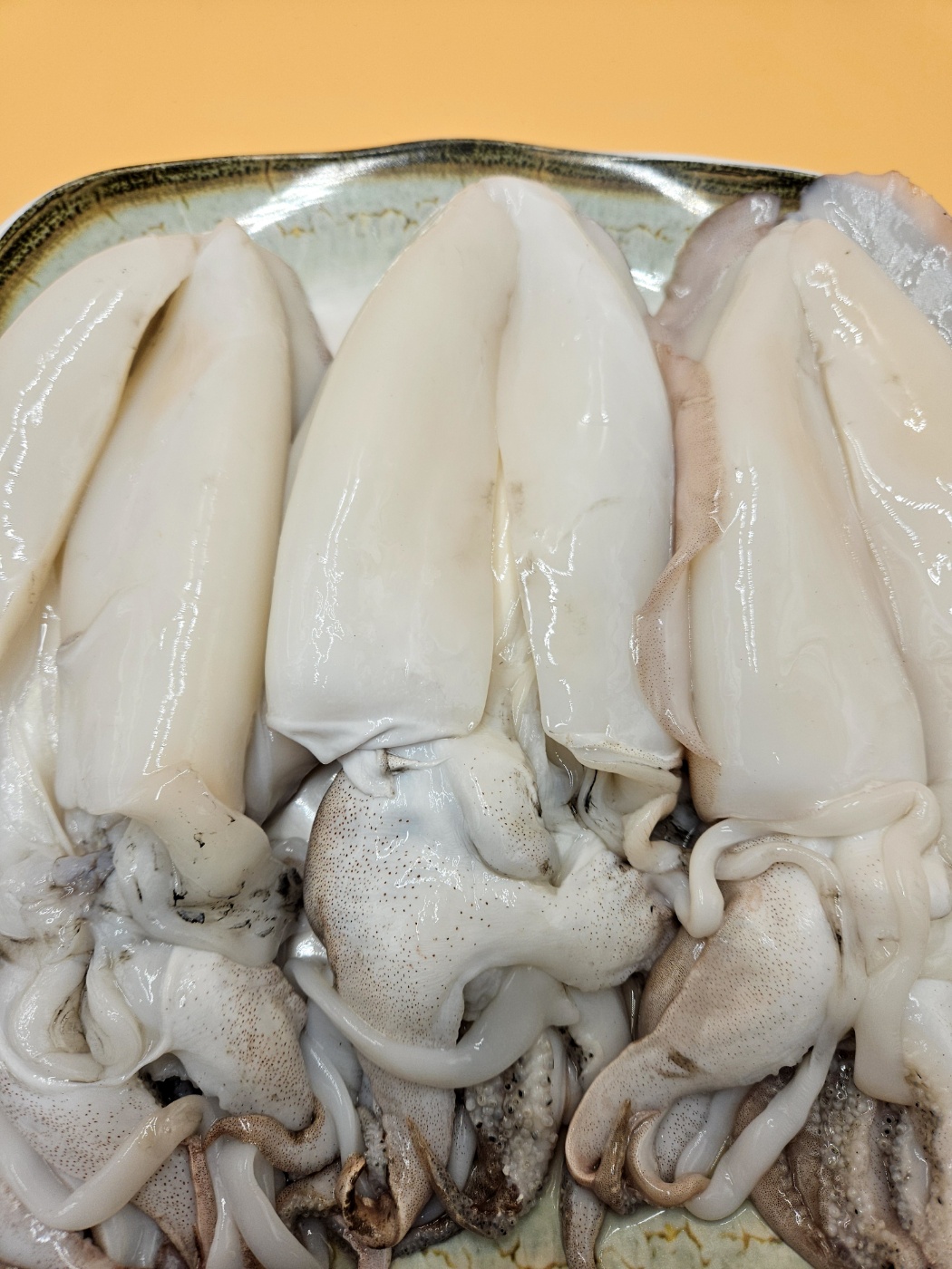 6시내고향 출연 / 백년가게 춘포수산 국산 갑오징어 1 kg : 익산춘포홍어회무침