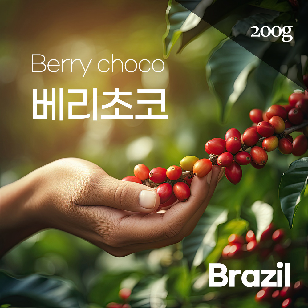 [향기나무커피]당일 로스팅 스페셜티 원두 커피 브라질 베리초코(Brazil/Berry Choco) 200g : 향기나무커피팩토리