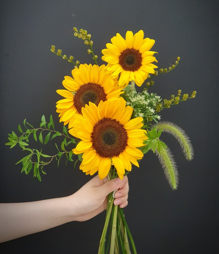 너만을사랑해바라기 세송이 꽃다발 남자친구꽃선물 분당 수내 판교 꽃집 : JM FLOWER