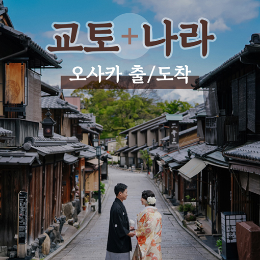 [매일출발] 교토&나라 일일 버스투어 산넨자카 니넨자카 사슴공원 청수사 여우신사 : 파란트래블