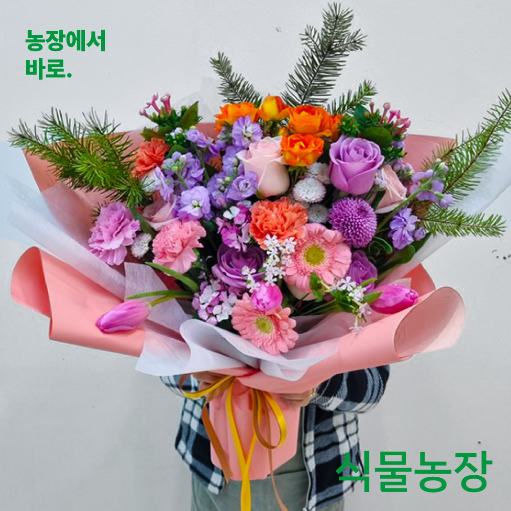 성남 분당꽃다발 꽃바구니 배달 당일배송 : 축하화환 근조화환 개업화분