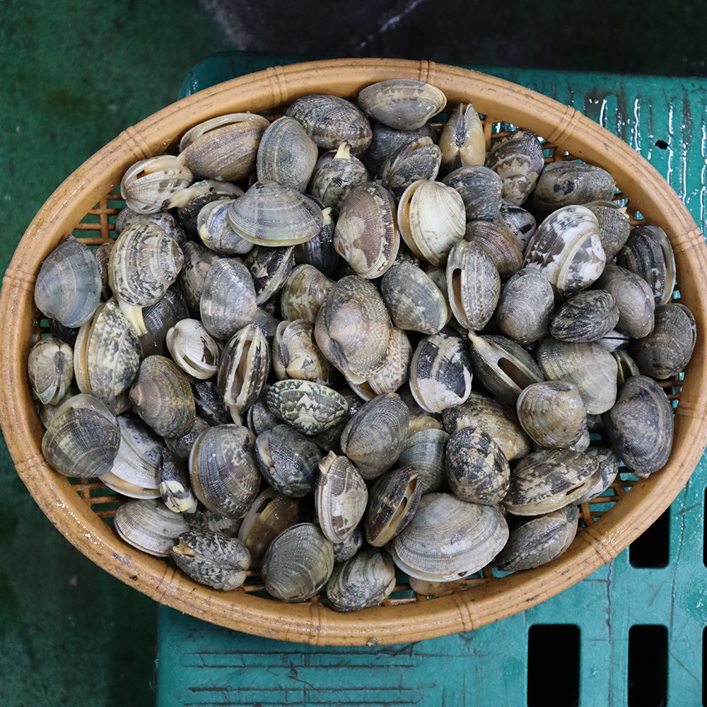 [광양시 배달] 활용도 좋은 바지락 1kg [중마 사계절수산] : 동네시장 장보기