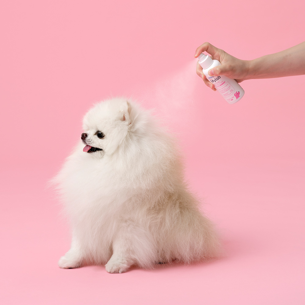 세스코 마이랩 모기 진드기 기피제 반려견용 120 ml : 세스코몰