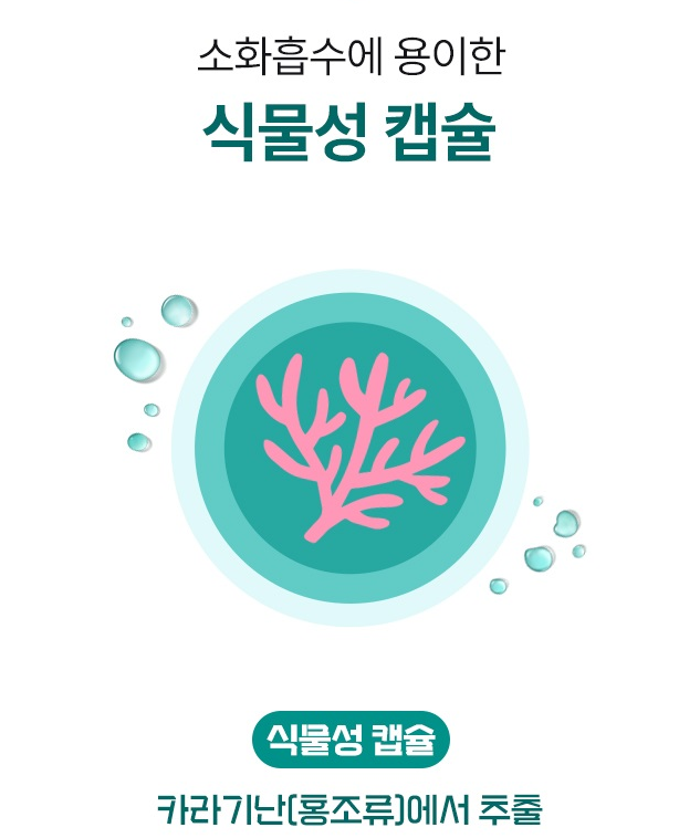 에버그린 식물성 알티지 오메가 (30캡슐) 1개월분 : 365건강팡팡