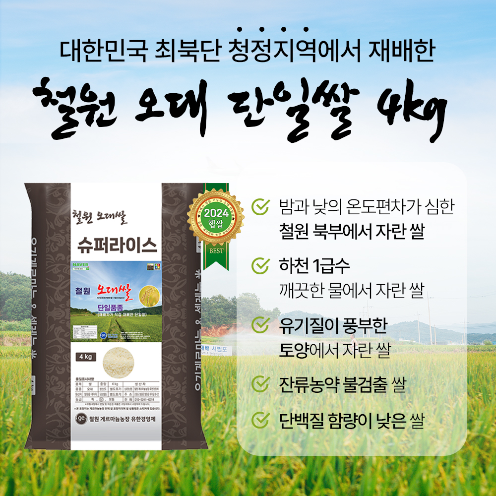 철원 오대 단일미 4kg 단일도정 잔류농약 불검출 24년 햅쌀 : 게르마늄농장
