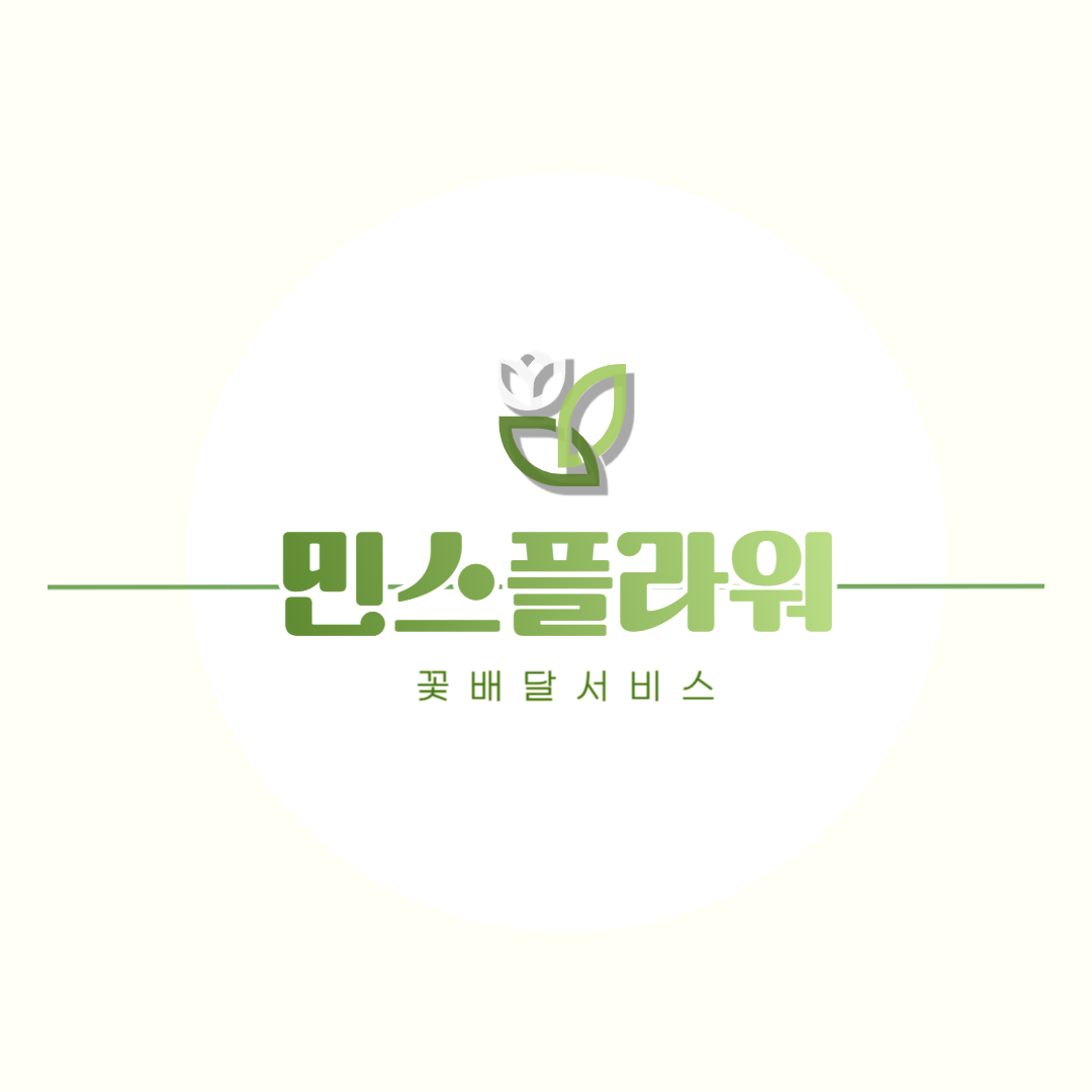 개업 금전수 화분 관엽식물 개업 축하 화분 배달 : 민스플라워