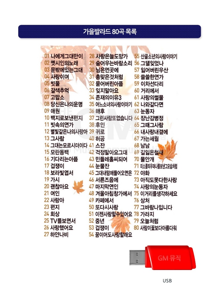 카페 발라드 8090 usb 노래 usb 히트곡 가요 usb 음악 7080 유에스비 : 온텍트샵