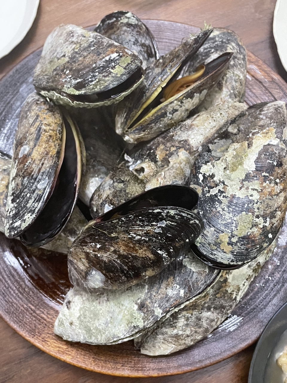 [두식이네] 해녀가 직접 채취한 자연산 홍합 담치 : 두식이네해물