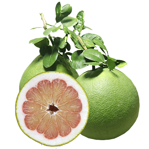 Vmart 베트남 자몽 핑크포멜로 Buoi ruot do 1,6kg내외(1과 1,3kg~1,7kg) grapefruit : Vmart 비마트