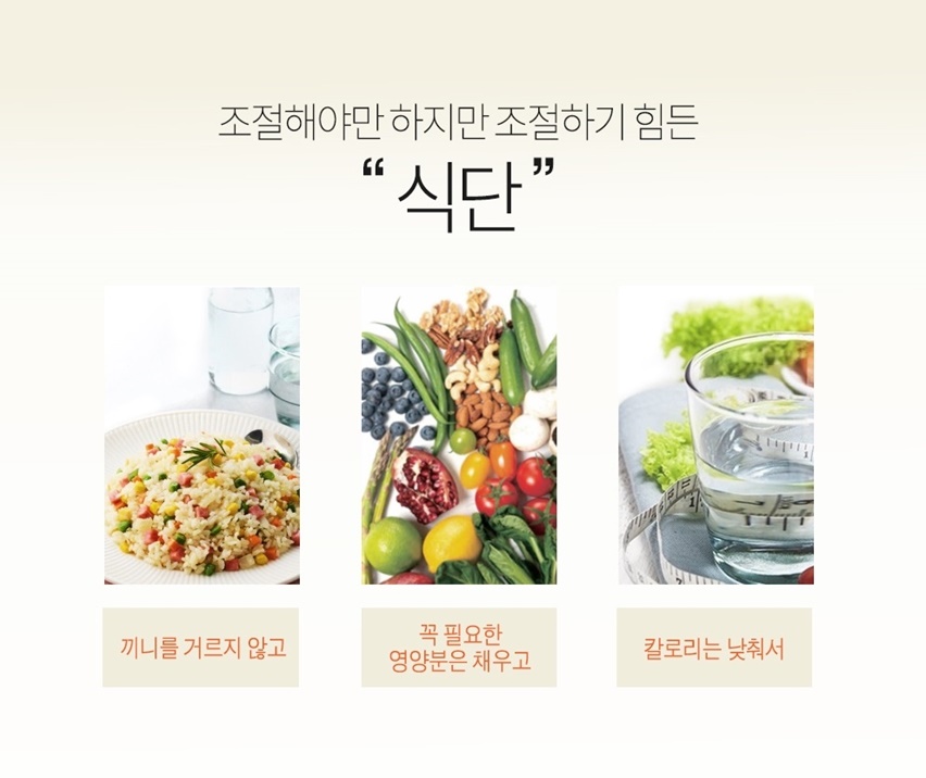 성풍양행 한끼 단백질 쉐이크 딸기맛 500g : 찐찐라이프
