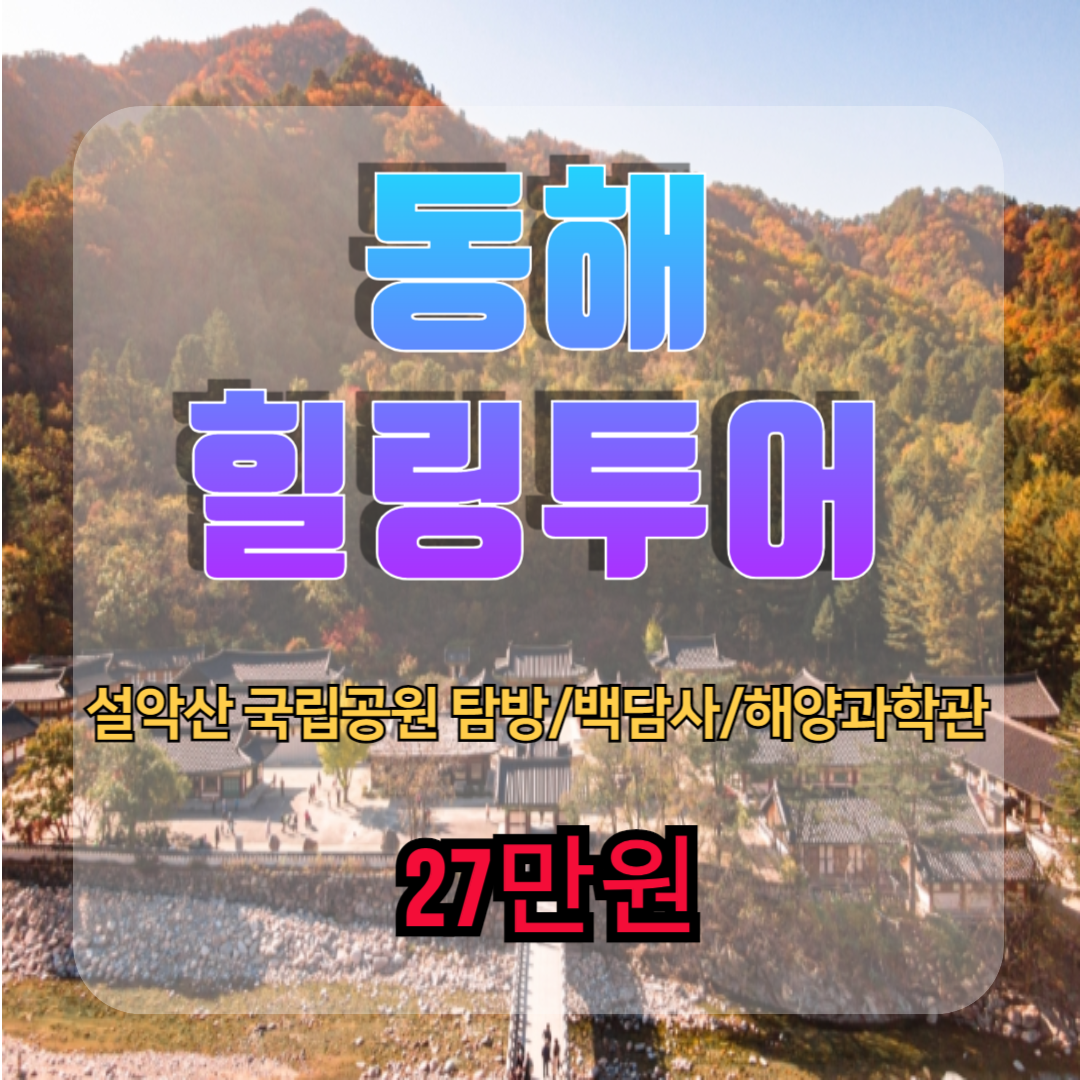 신세계여행사[부산출발] 국내 가을여행 동해힐링투어 1박 2일 : 부산 신세계여행사