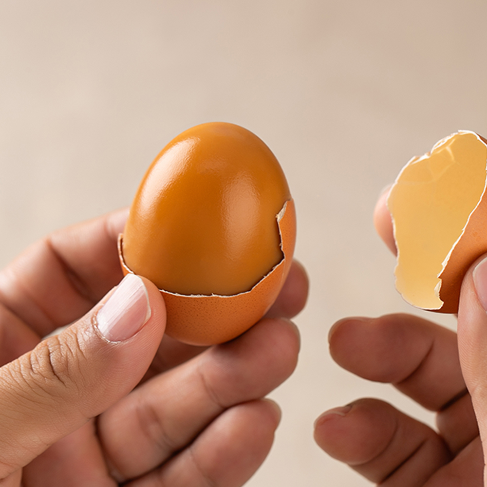 HACCP 인증 쫄깃한 구운계란 30구 1판 : 천사푸드