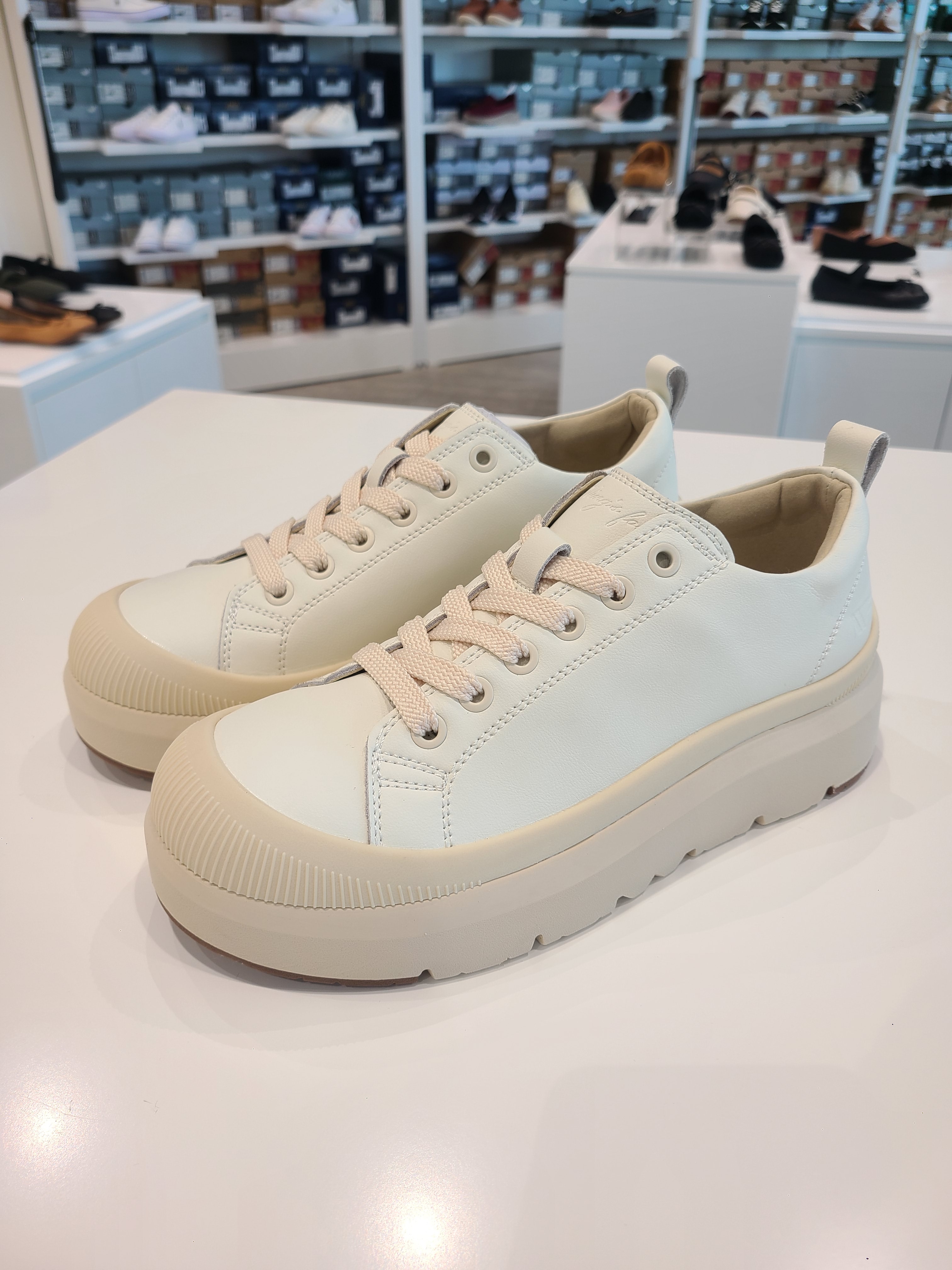 윙스풋 키높이 스니커즈 WEAVER W709084 : 롯데이천 와이컨셉