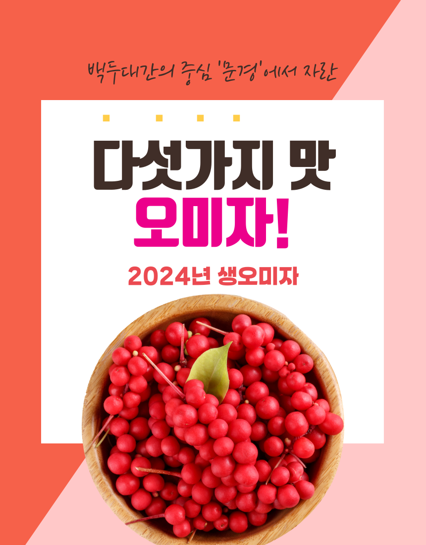 2024년 생오미자  10kg : 엠케이엠 주식회사