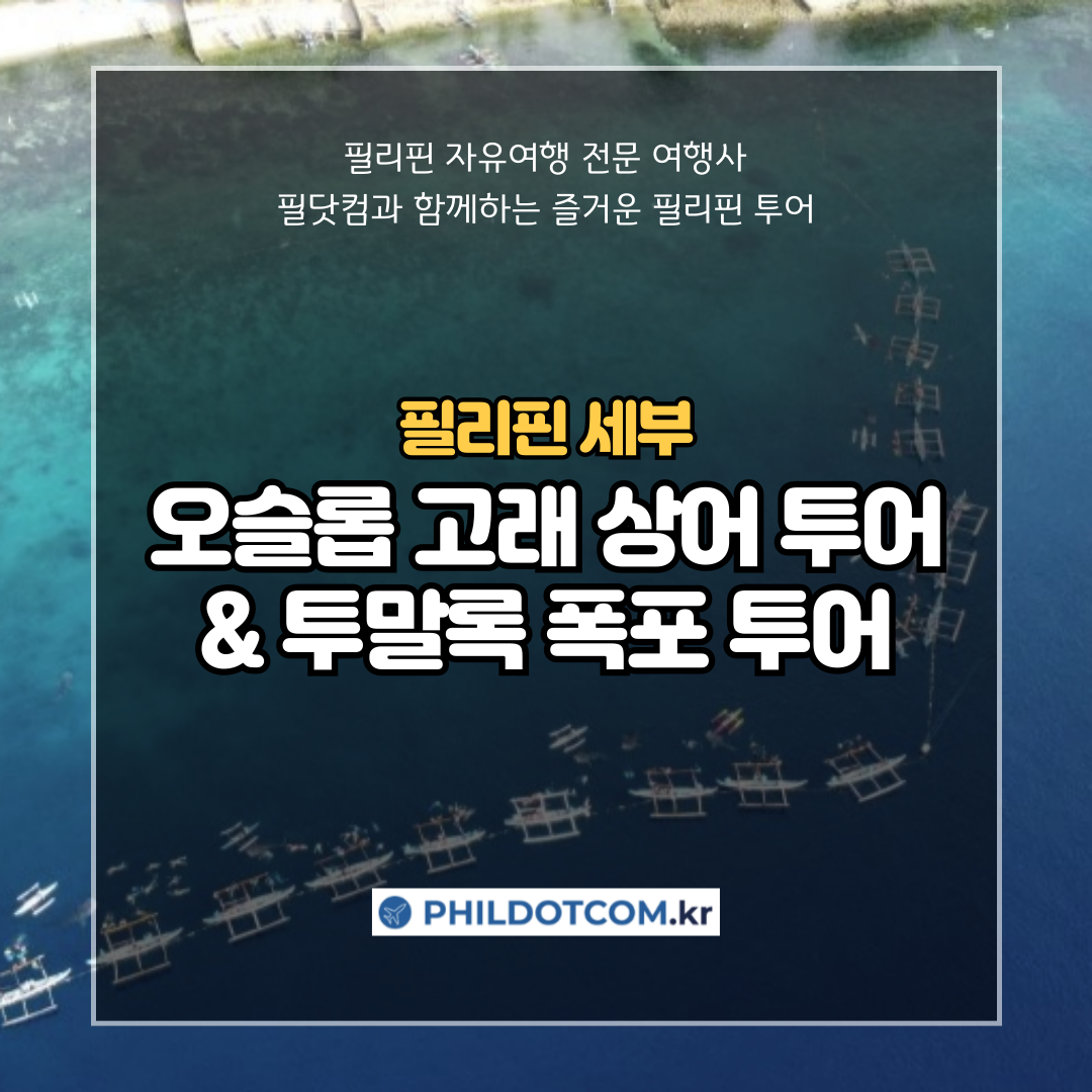 [필리핀 세부] 오슬롭 고래 상어 투어 & 투말록 폭포 투어 : 필닷컴 여행사