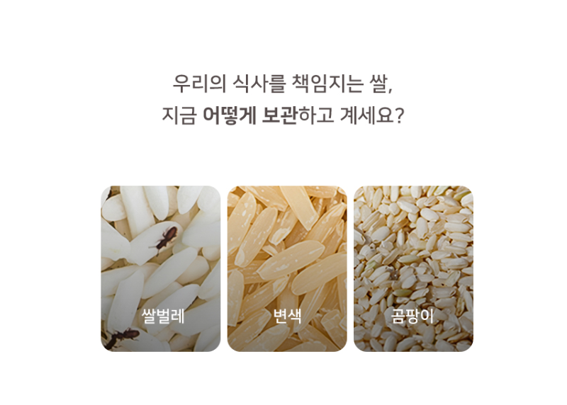 다용도 쌀보관통 쌀벌레방지 밀폐보관 날짜표시 인테리어 쌀통 10kg : 필수템샵