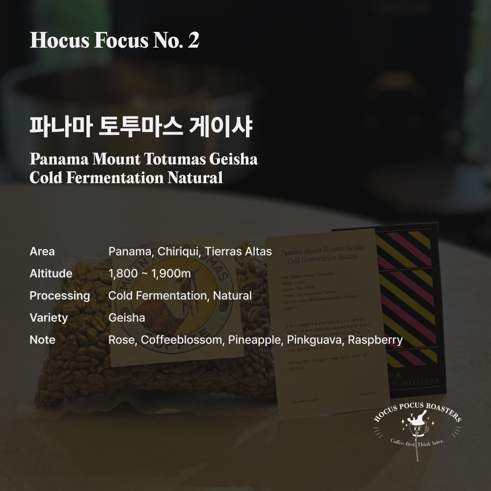 HOCUS FOCUS NO.2 파나마 마운트 토투마스 게이샤 콜드 퍼먼테이션 내추럴 40g : 호커스포커스로스터스