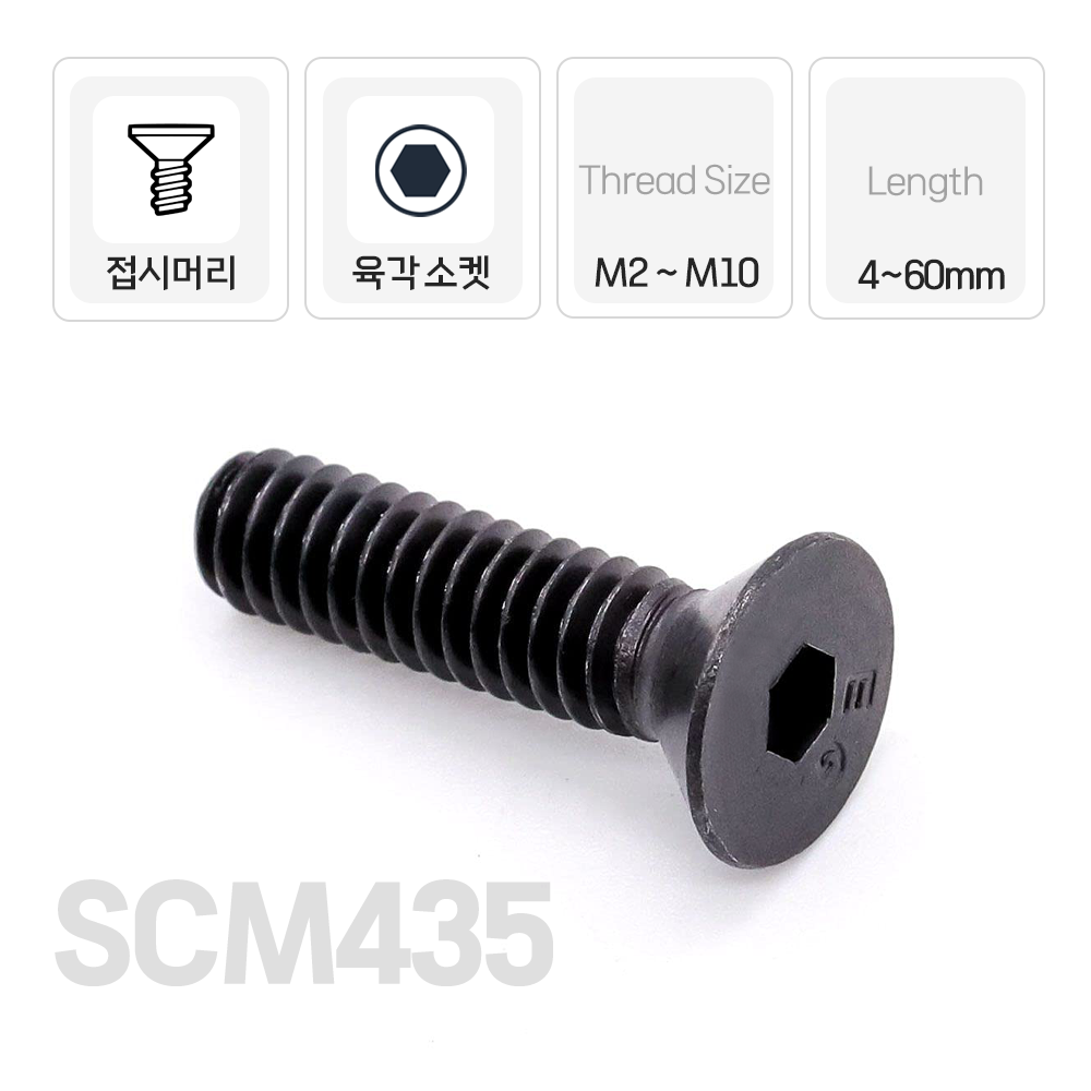 SCM 유두 렌치볼트 육각머리 고장력 특강 고강도 검정 나사 규격 M2.5 10mm 10개 : 굿나잇몰