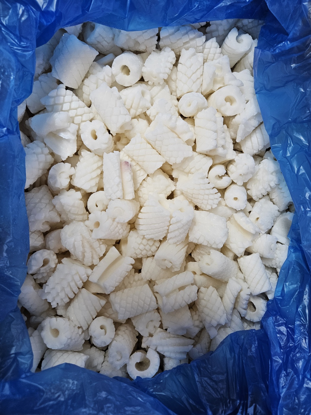 차니수산 냉동 대왕 오징어 솔방울 칼집 오징어 1kg 간편 요리 냉동식품 도소매 : 차니수산