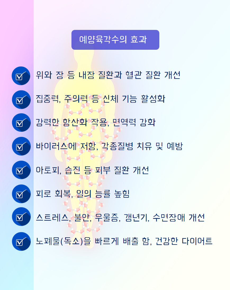 예양 육각수 생성기 가정용, 우리몸에 필요한 육각수생성장치, 세계유일상품, 기적의물 : 블루스카이윈