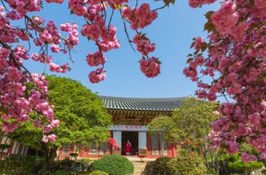 [보은충북]속리산으로 떠나는 리마인드 수학여행 : 대추골주민여행사