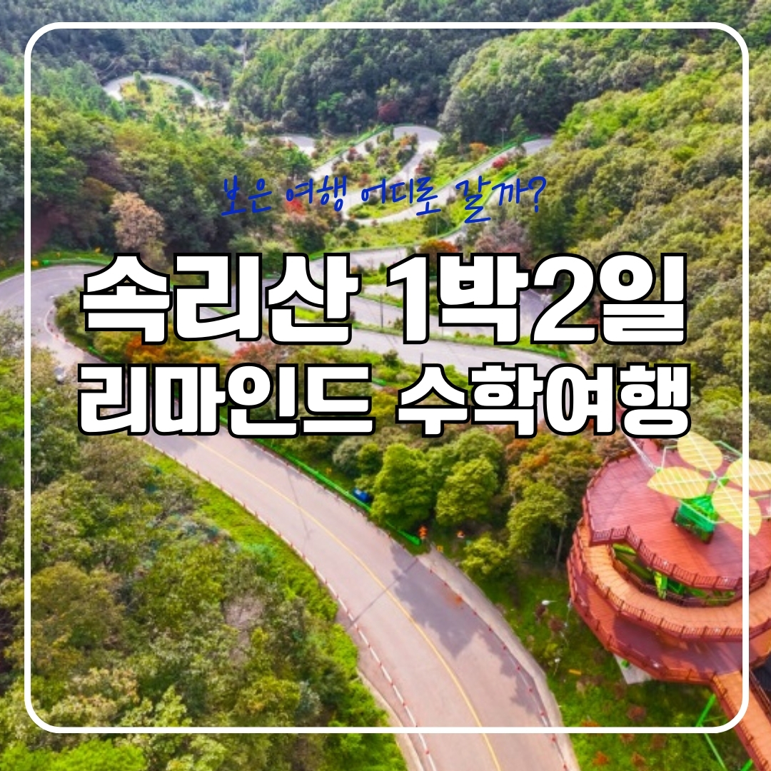 [보은충북]속리산으로 떠나는 리마인드 수학여행 : 대추골주민여행사