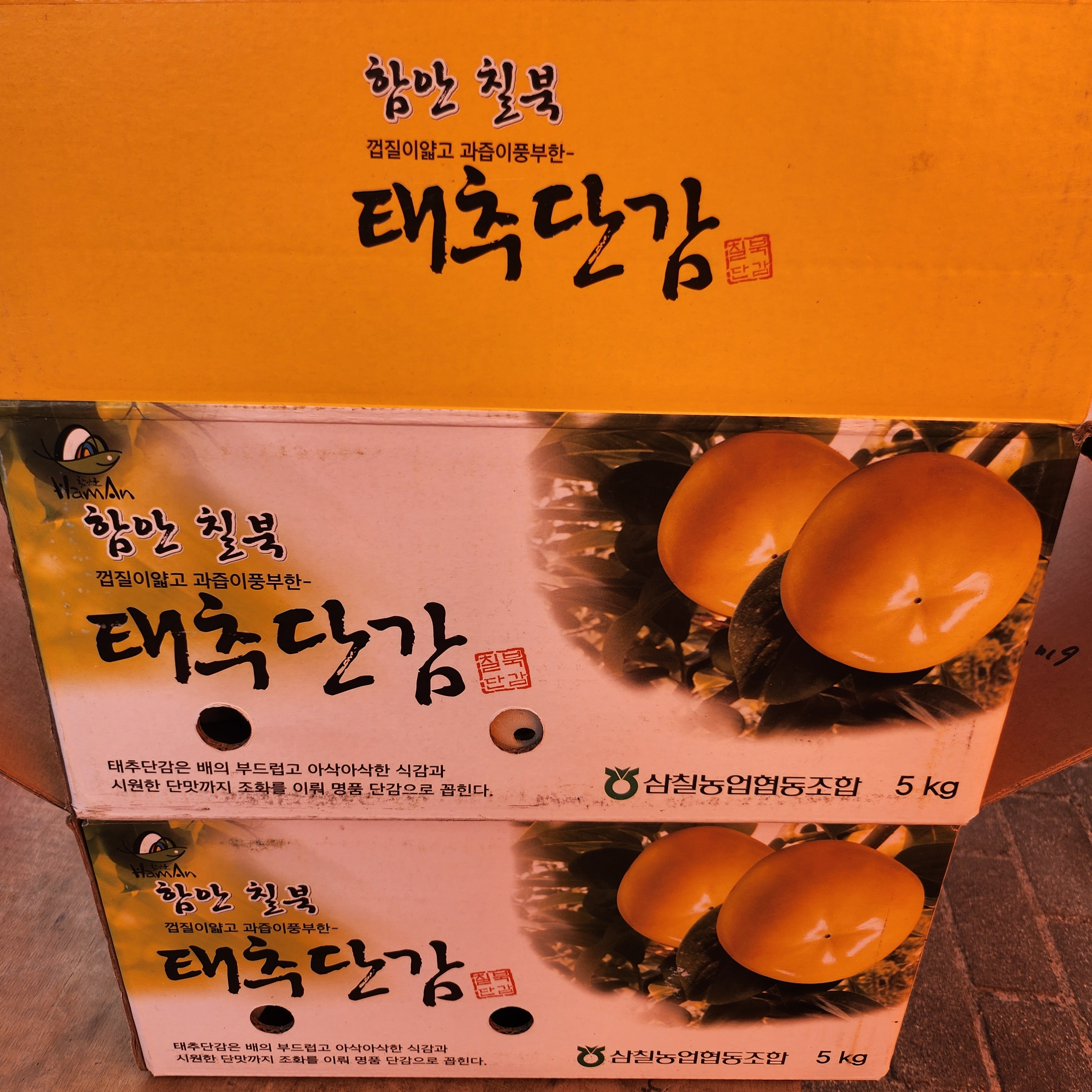 태추단감 : 알뜰청년단