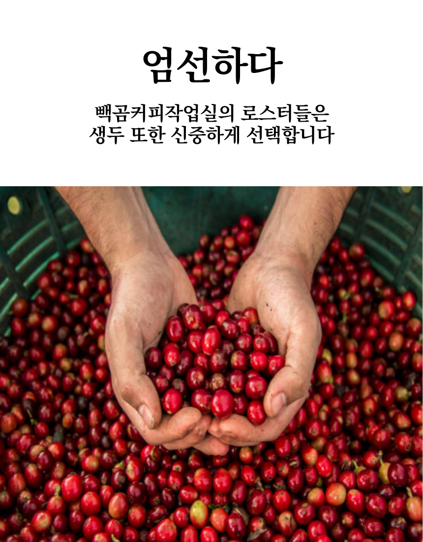[6/23 예약 시작] 7월 빽곰샘플러 6종 7/7 로스팅 : 빽곰커피작업실