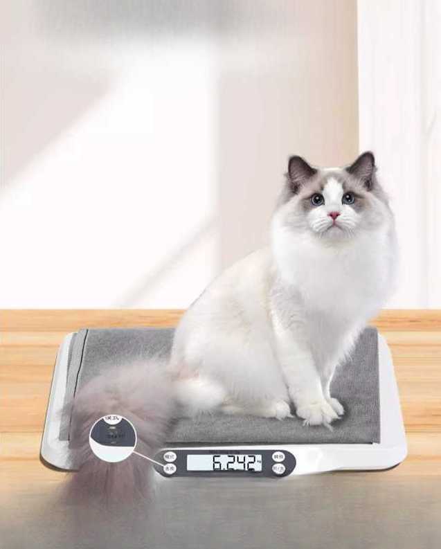 SKL 고양이체중계 아기 측정 고양이 동물병원 측정기 24kg 애완동물 저울-분홍 : 숙랜드코리아