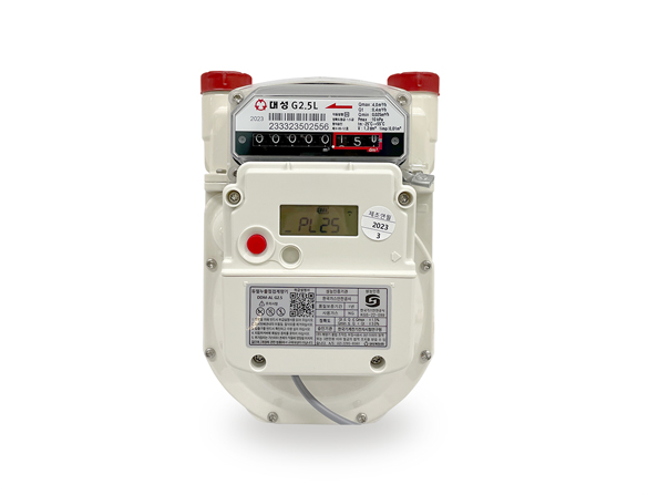 대성계전 듀얼누출점검용 가스계량기 (LPG&LNG) 유니온포함 : 청년종합상사