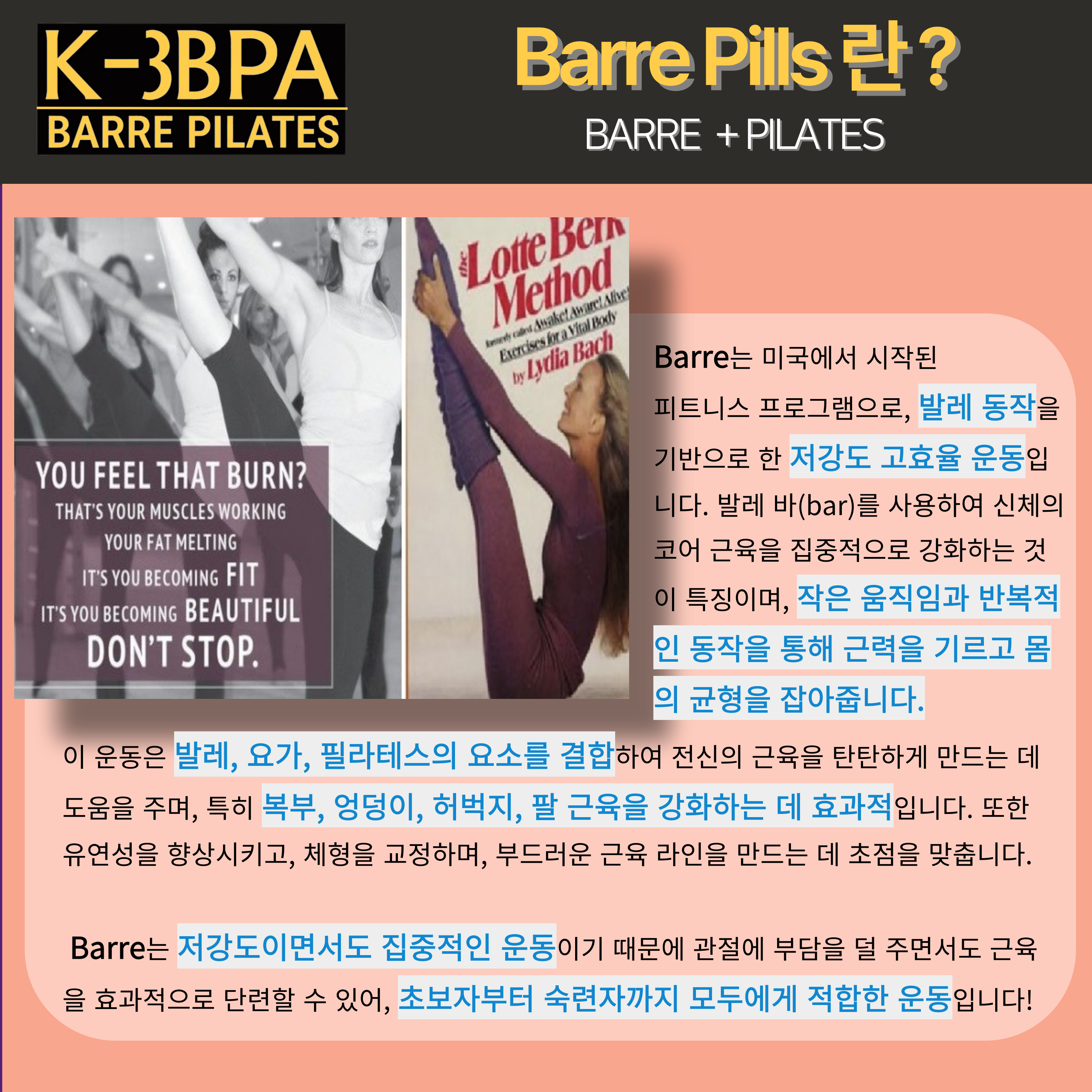 바레 Barre 원데이클래스(Barrepills ; Barre+Pilates)[보라매필라테스 /신대방삼거리필라테스] : 뉴얼라인필라테스 보라매점