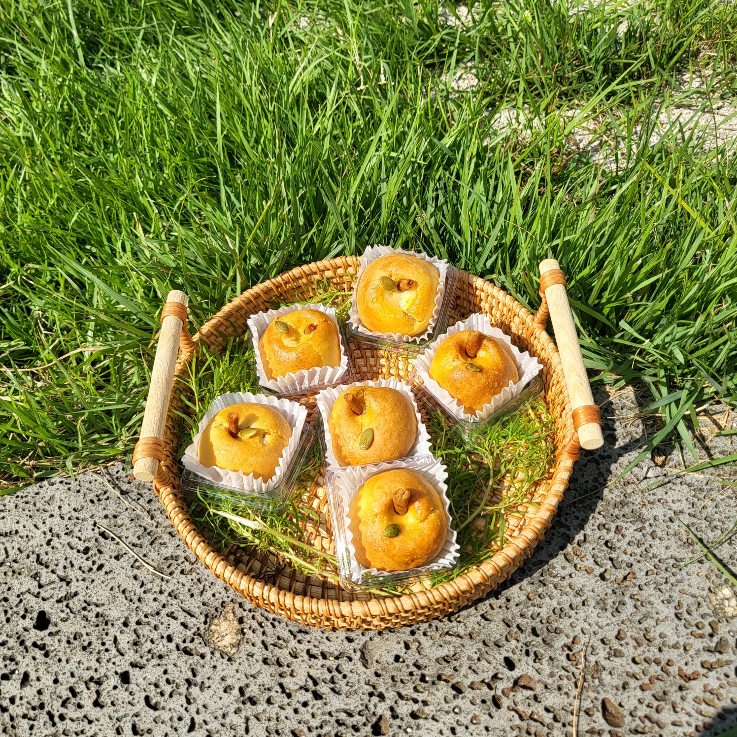 하이테리 전라 애견맛집