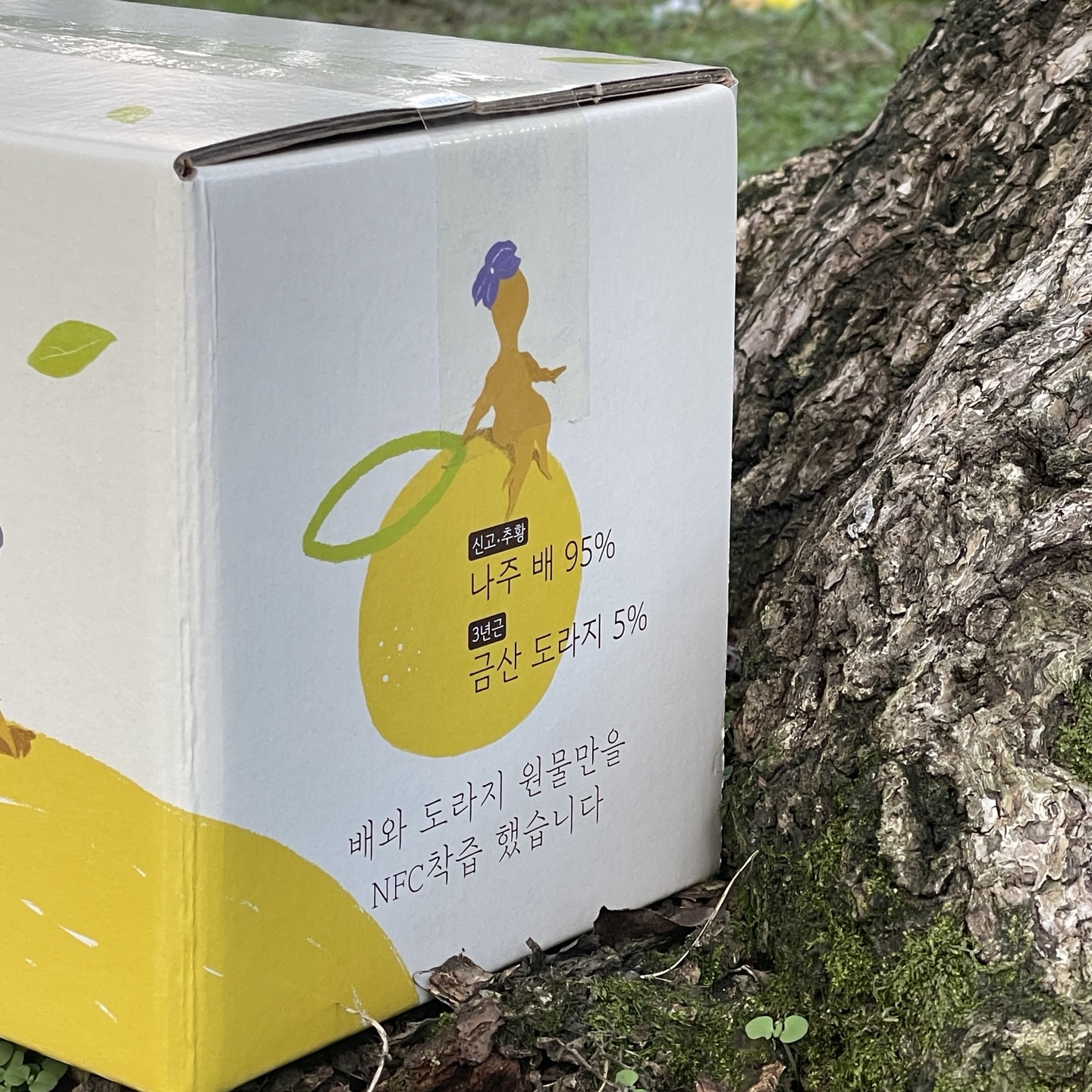 50포입 직접 키운 나주배로만든 도라지배즙 NFC 과채주스 : 해곳간