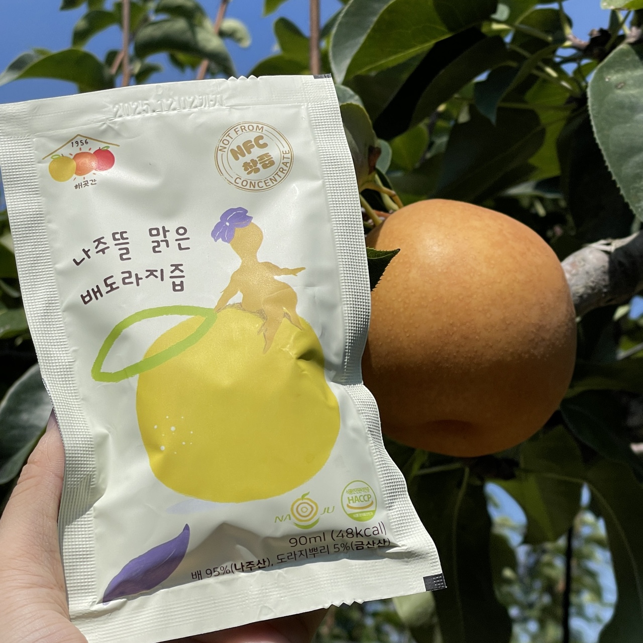 30포입 나주 추황배와 신고배, 금산 도라지가 들어간 도라지배즙 100ml : 해곳간