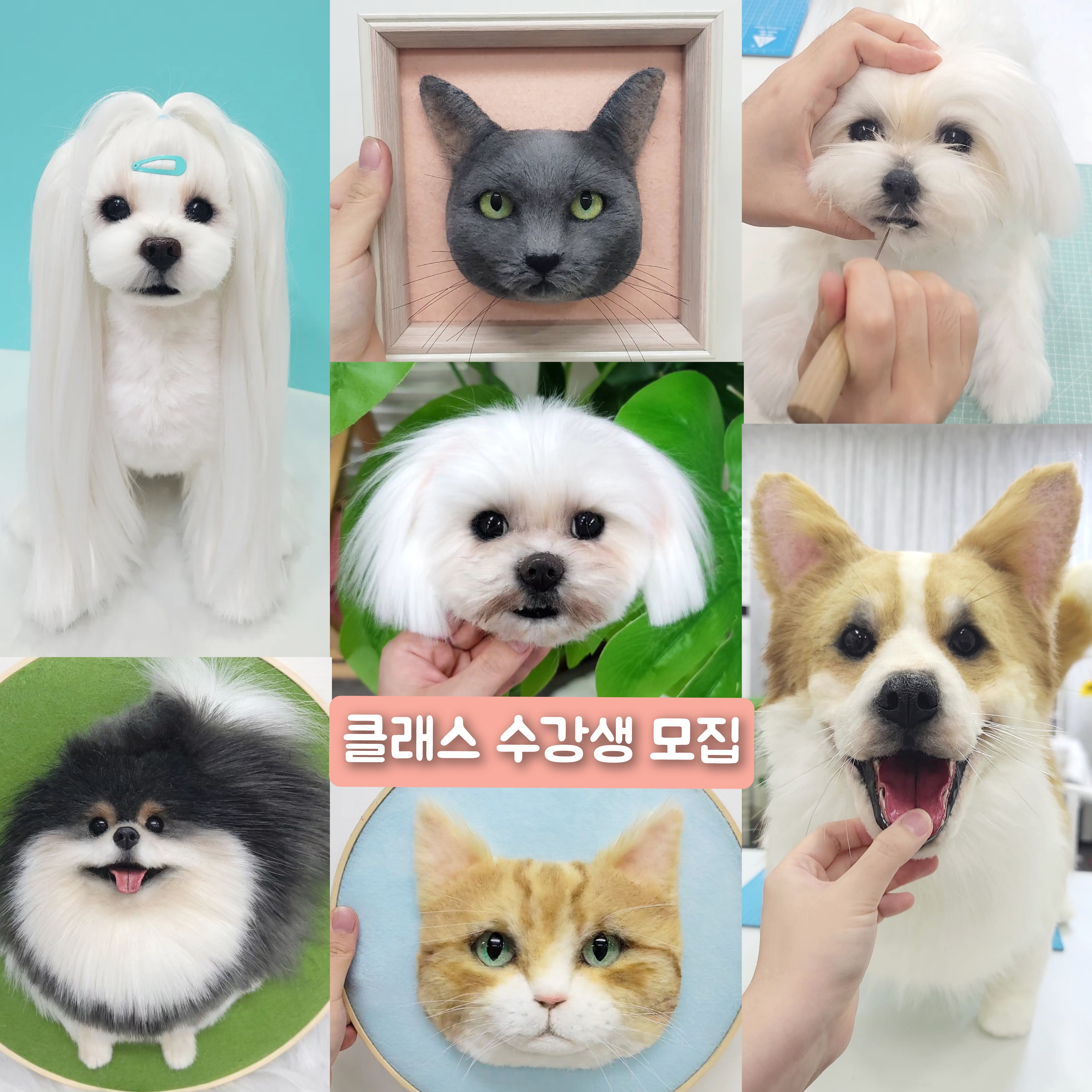 반려동물양모초상화지도사 1급 : 펫인펠트