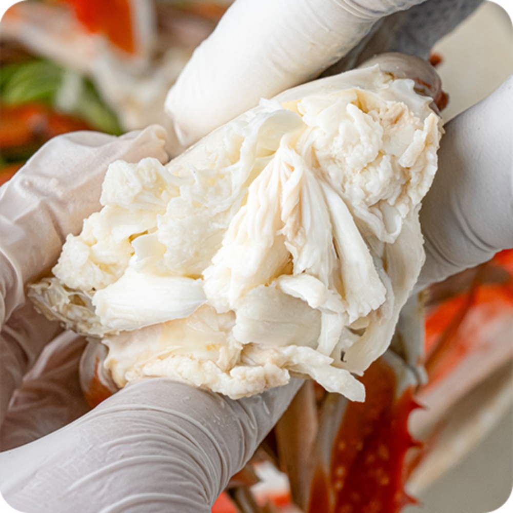 양념 간장게장용꽃게 꽂개 서해 서해안 냉동꽃게 절단게 급냉절단꽃게 꽃개 2kg, 1개 : 동동이네가게