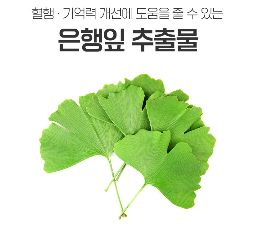 혈당 혈행 멀티케어11 800mg x 60정 뉴트라플랜 : 제이미커머스