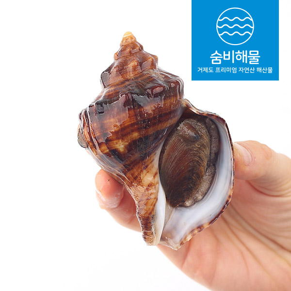 거제 자연산 삐뚤이 소라 1kg : 숨비해물