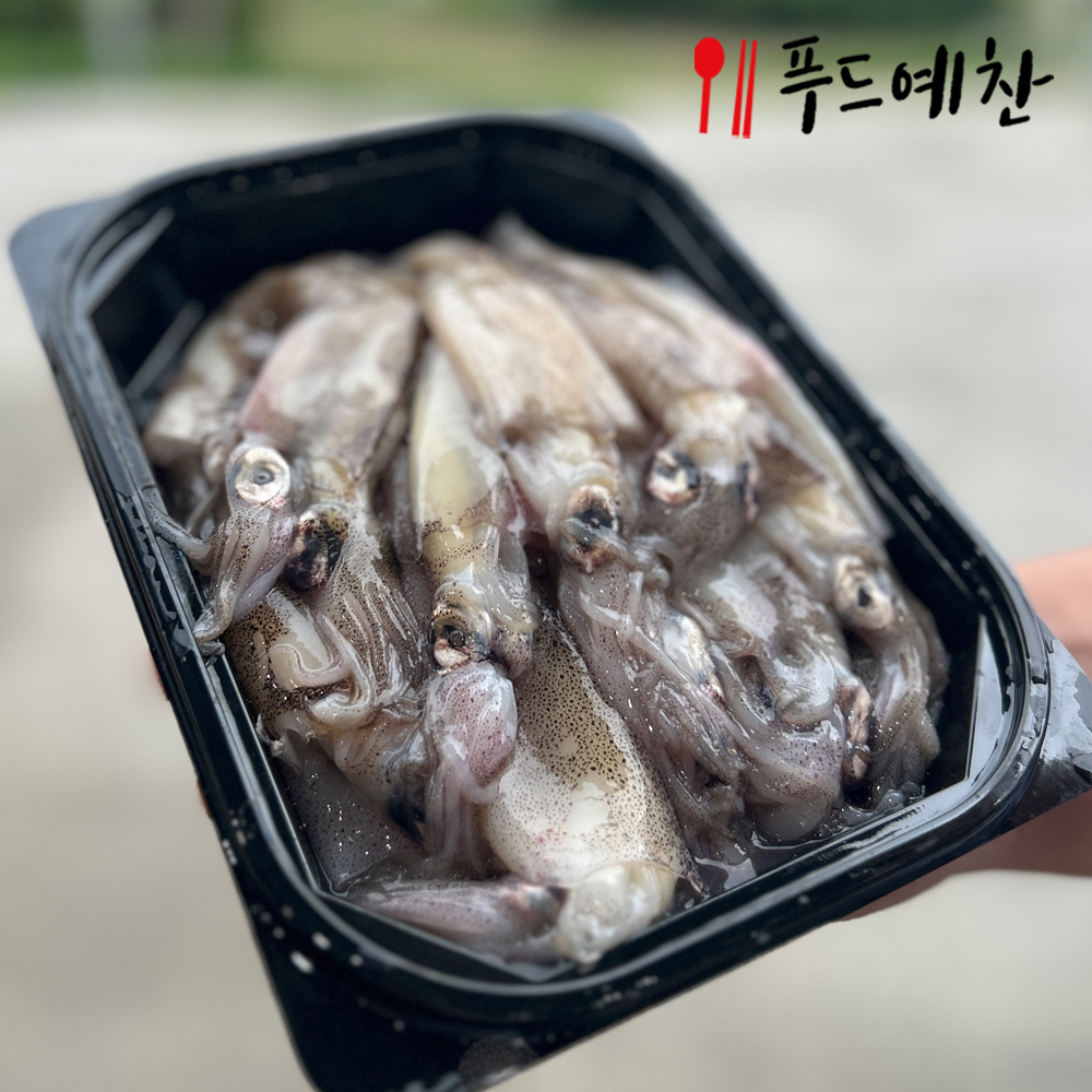 푸른들찬 담백 고소한 통큰 한입 한치 1kg 40미내외 선동 급냉한치 : 푸드예찬
