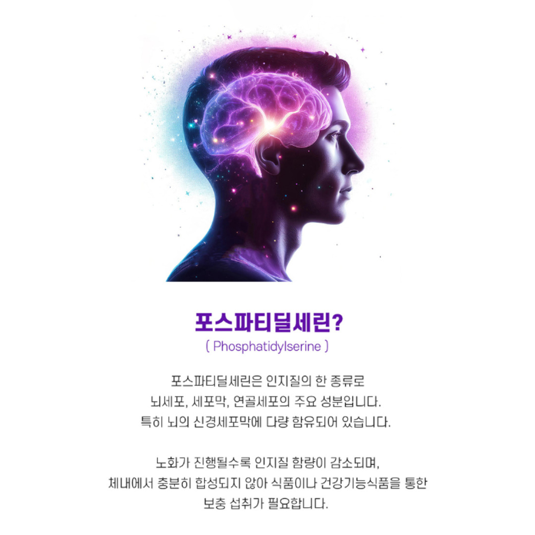 포스트파티딜세린 포스타티딜세린 포스타디딜세린 효능 기억력 두뇌 뇌건강 영양제 약1개월분 : 메디라움코리아