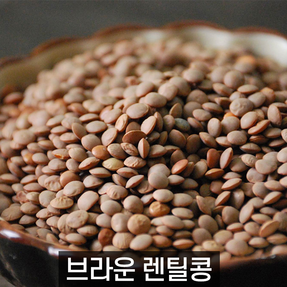 더알찬곡물 브라운 렌틸콩 / 렌즈콩 2kg, 2개 : 슈퍼푸드는 대한농산